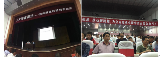 大图3