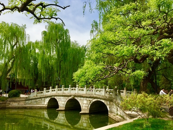 张迪-柳眼春相续