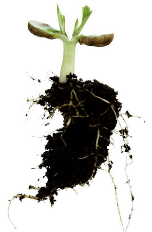 搜狗截图16年02月19日1449_3