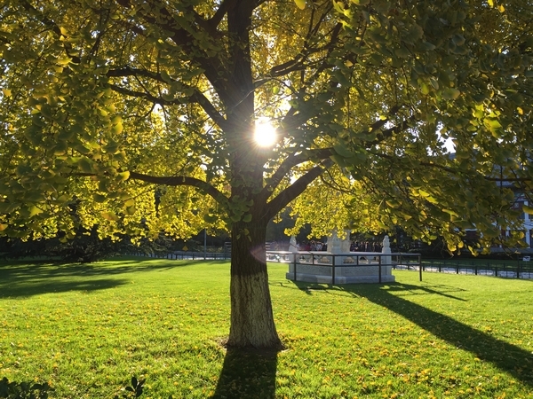 赵波－如秋日温暖的光