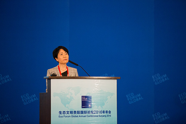 全球环境基金总裁兼CEO石井莱穗子